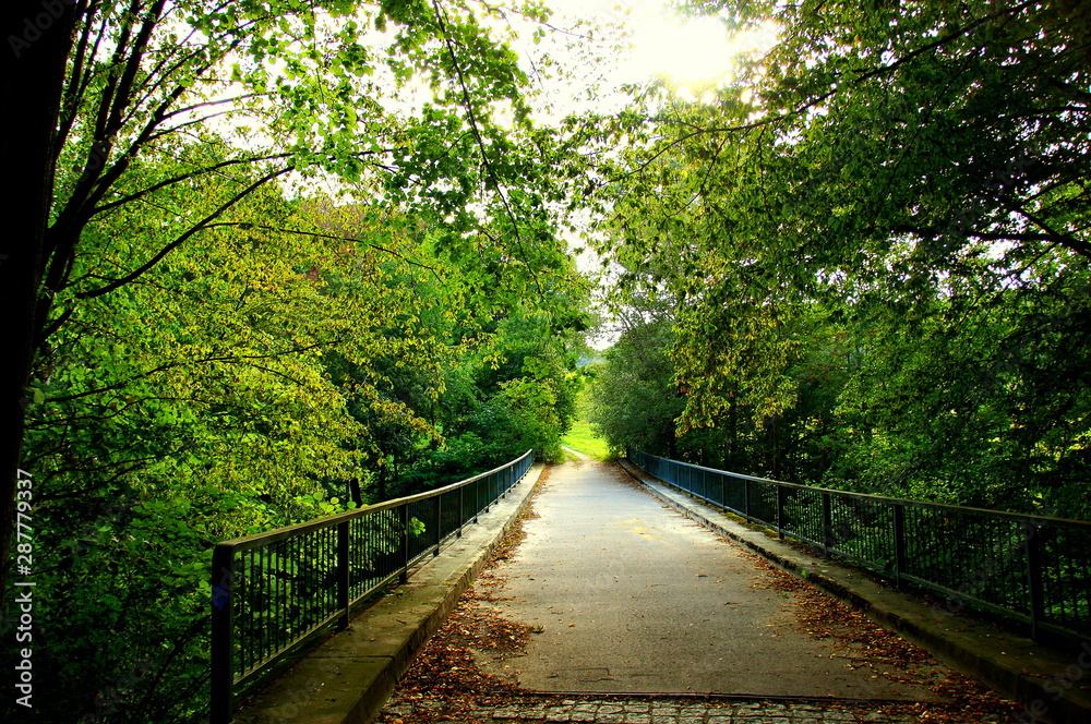 Obraz premium Brücke im Wald