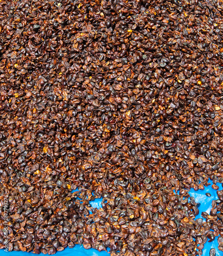 Bolivia La Paz El Alto district market coffee husks