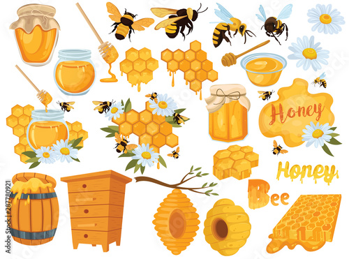 Honey set Fototapeta