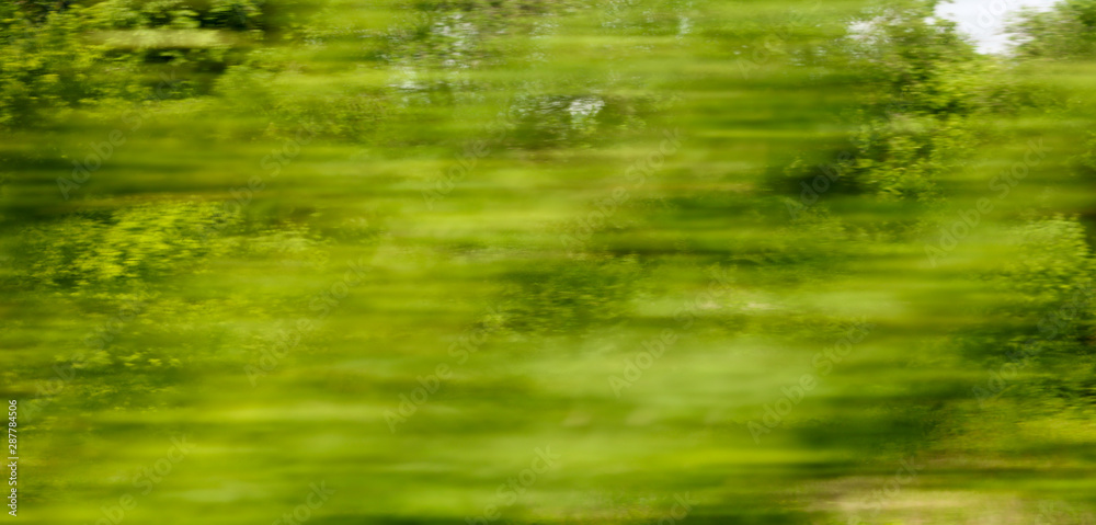 Green nature in summer in motion Green nature in summer in motion