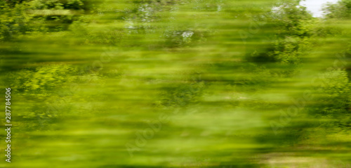 Green nature in summer in motion