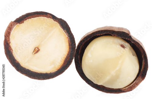 Macadamia nuts isolated on white background, top view