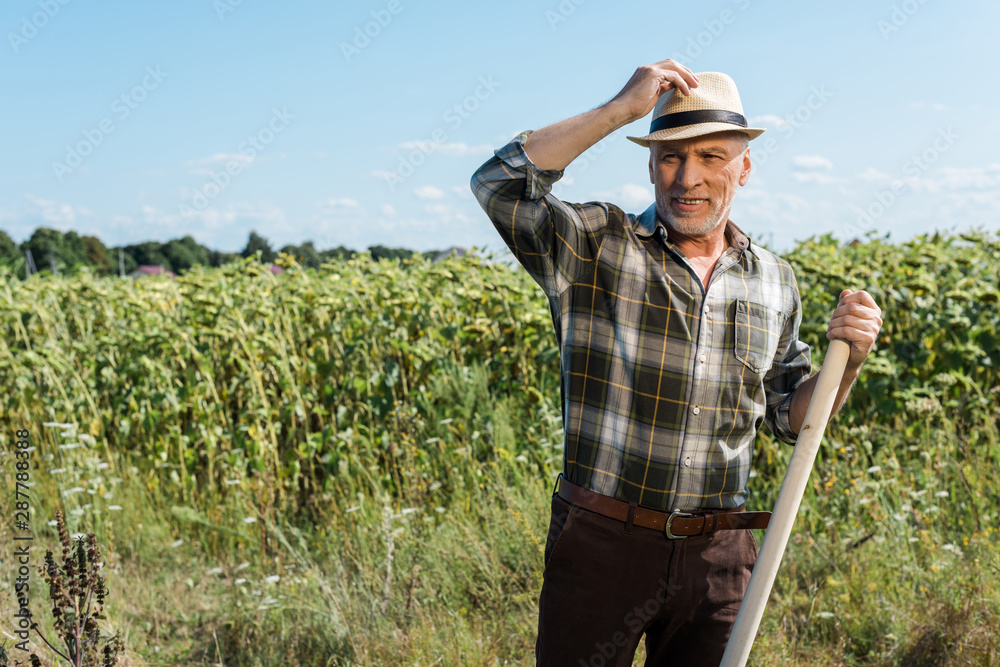 Fototapeta premium happy self-employed man holding rack near green field