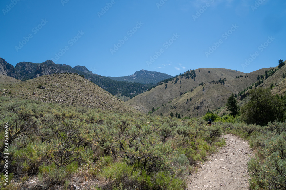 Hiker makes her way up to Goldbug Hot Springs in Idaho, in the Salmon Challis National Forest Hiker makes her way up to Goldbug Hot Springs in Idaho, in the Salmon Challis National Forest
