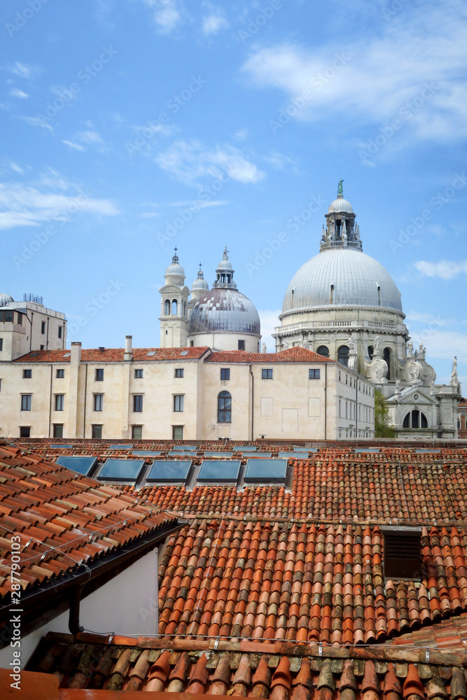 Venice rooftops and Santa Maria delle Salute church