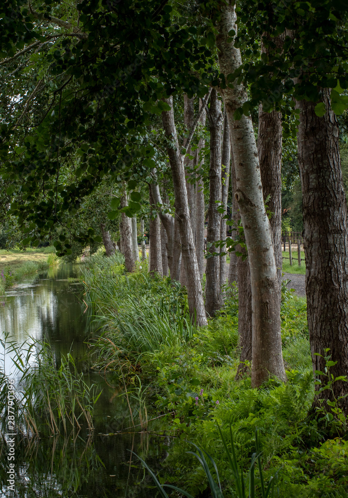 Giethoorn Overijssel Netherlands. Dutch water village. Canal and trees. Giethoorn Overijssel Netherlands. Dutch water village. Canal and trees.
