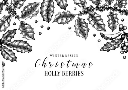 Christmas holly vector design. Greeting card or invitation template. Evergreen tree with red berries. Hand drawn botanical sketch. Perfect for Christmas design, banner, decoration or packaging. 
