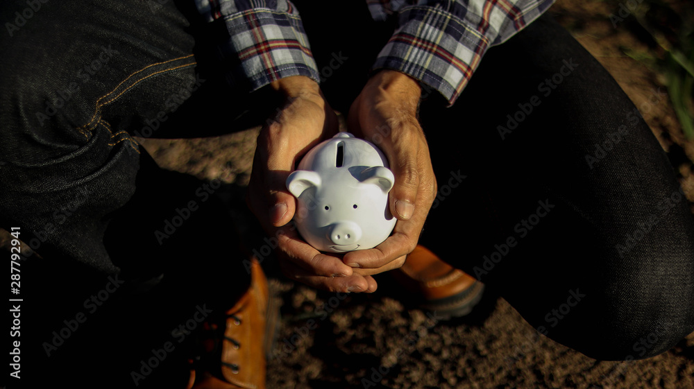 Small white piggy bank in a hands in the morning - obrazy, fototapety, plakaty 