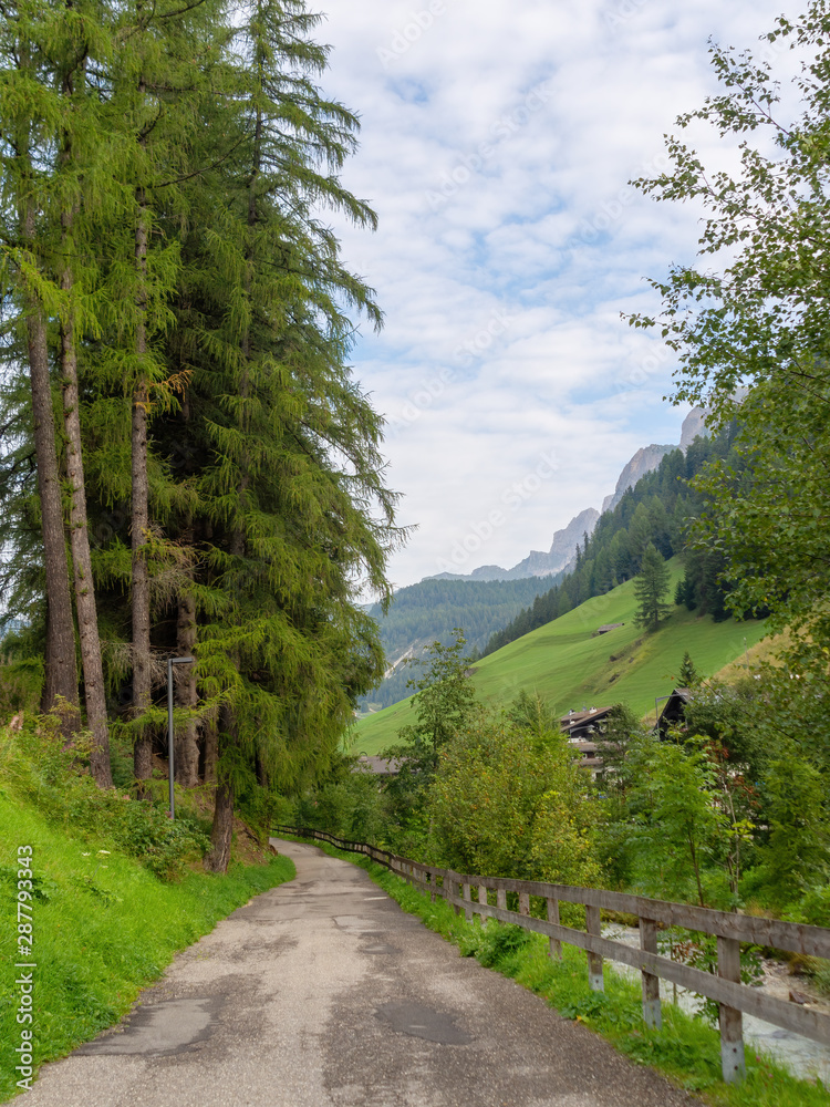 Cycle and hiking trail near Val di Gardena in Alto Adige, South Tyrol, beside river. Vertical composition. In the Dolomites.
