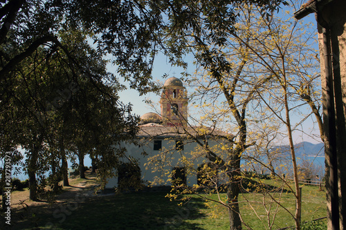 Chiesa con campanile a cupola tra gli alberi photo