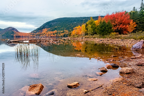 Fotografie Autmn foliage in Acadia National Park, Maine USA