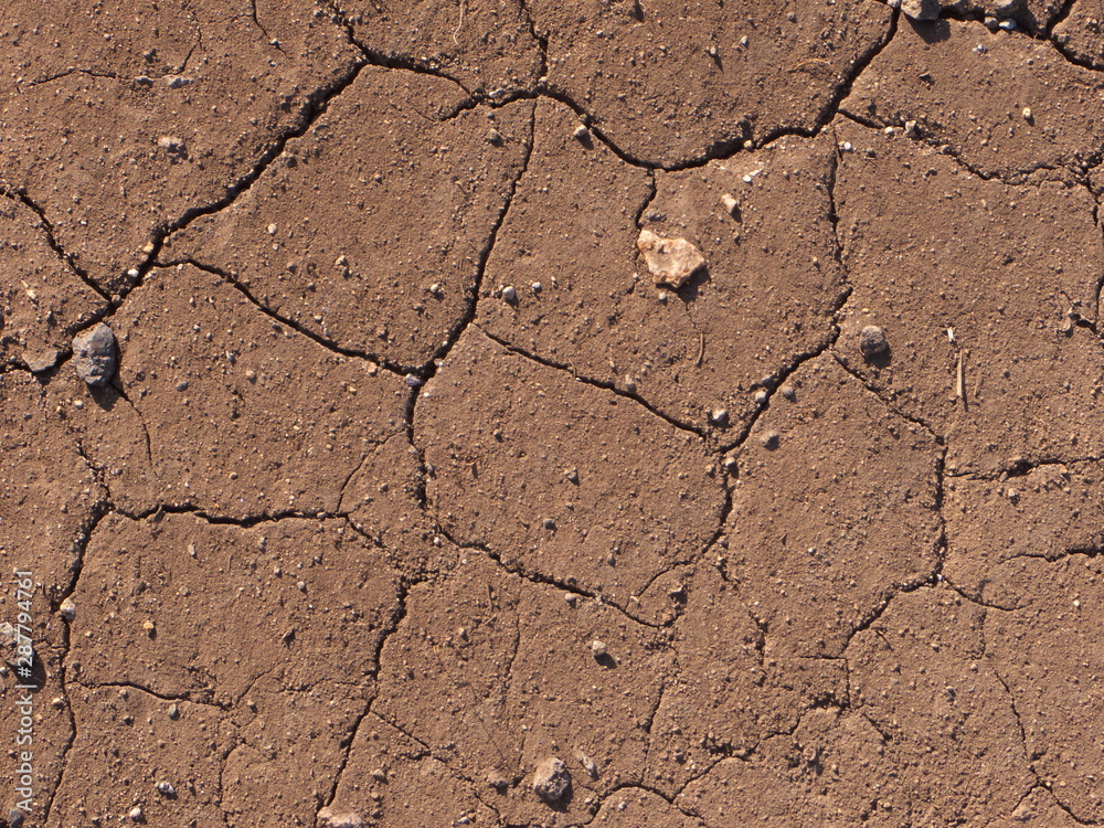Fototapeta premium ひび割れた地面４