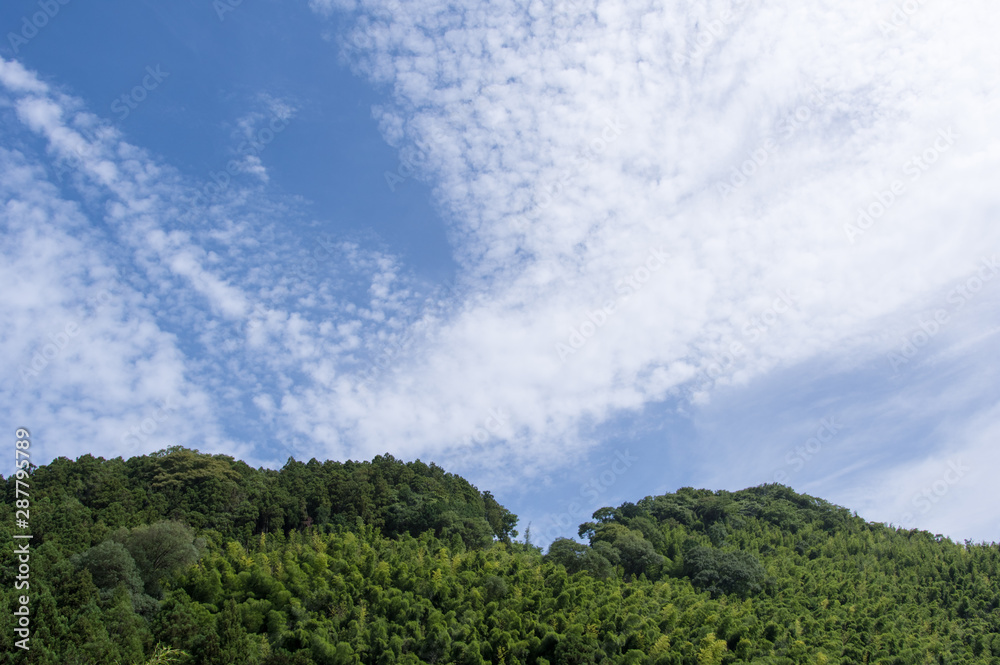 薄曇りの空