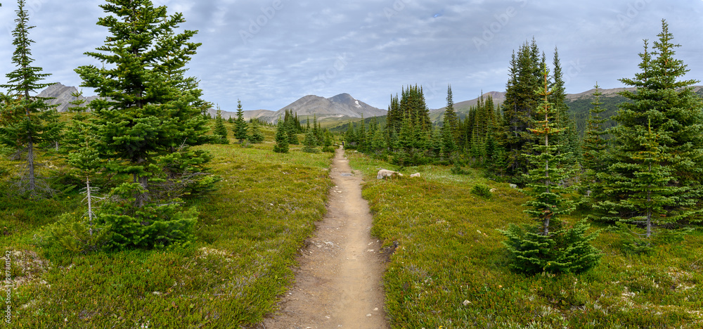 Hiking trail through a panoramic Rocky Mountain landscape with a white clouds, mountains and hills. Hiking trail through a panoramic Rocky Mountain landscape with a white clouds, mountains and hills.