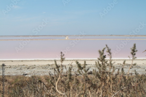 Salin de giraud 2019 photo