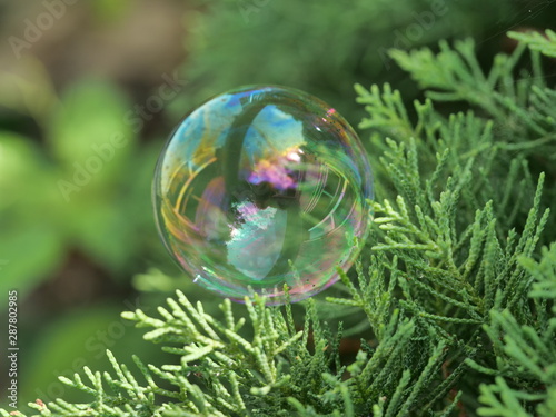 soap bubbles over the meadow