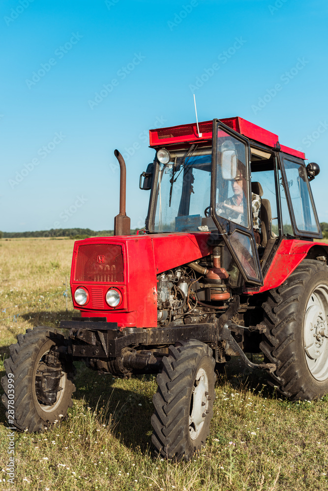 senior farmer driving red tractor in wheat field senior farmer driving red tractor in wheat field