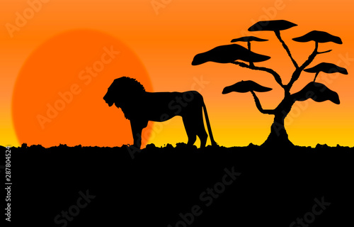 Silhouette of a Lion in an African Savannah