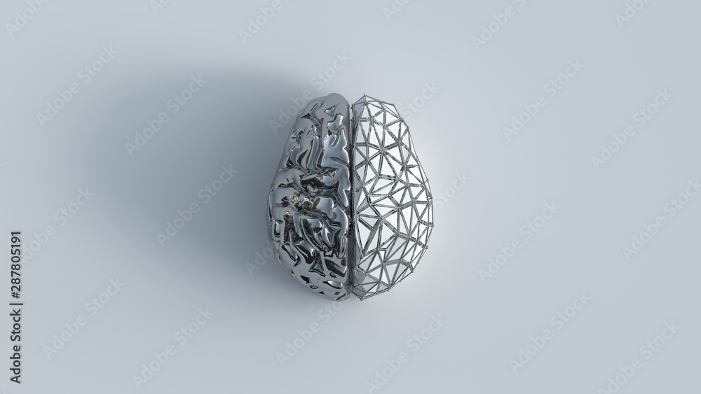 3d render of human brain with reflective metal left side and white poligon grid right side, top view on white background. 3d render of human brain with reflective metal left side and white poligon grid right side, top view on white background.