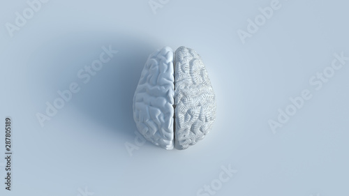 3d render of white human brain with 2 sides include 1 shattered side, top view minimalist concept on white background.