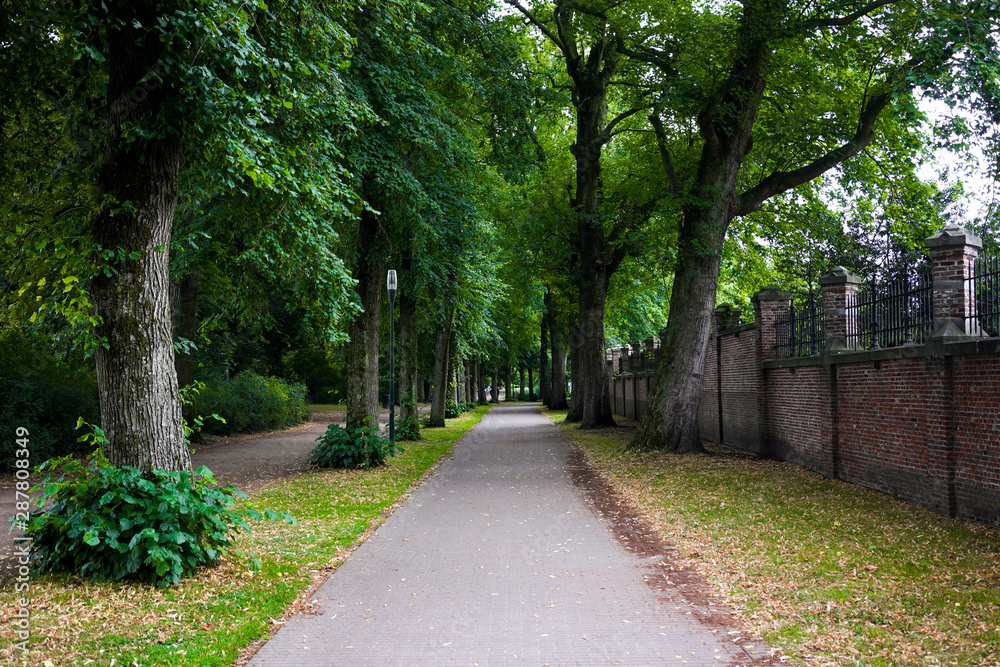 Path in the park with tunnel of tall old ancient tree