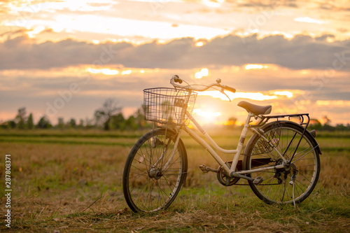 bicycle in the sunset