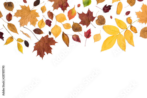 Different autumn dry leaf, branches, leaves and petals pattern isolated on white background. overhead view. Copy space photo