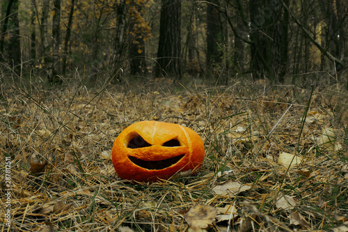 smiling halloween pumpkin viciously in autumn forest in dark colors