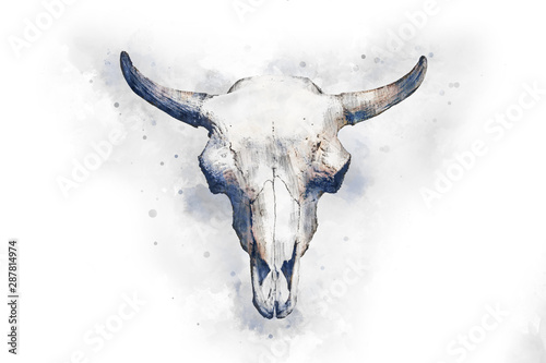 Watercolor drawing of a bull s head on a light background