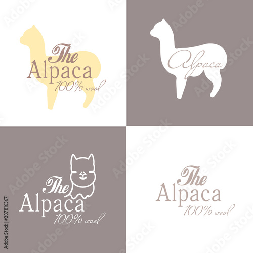 Alpaca sign illustration soft nature wool lama