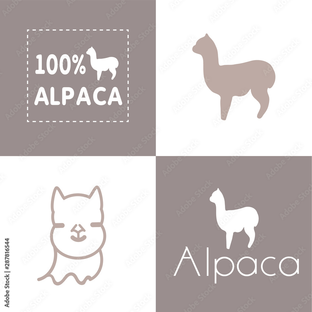 Alpaca sign illustration soft nature wool lama