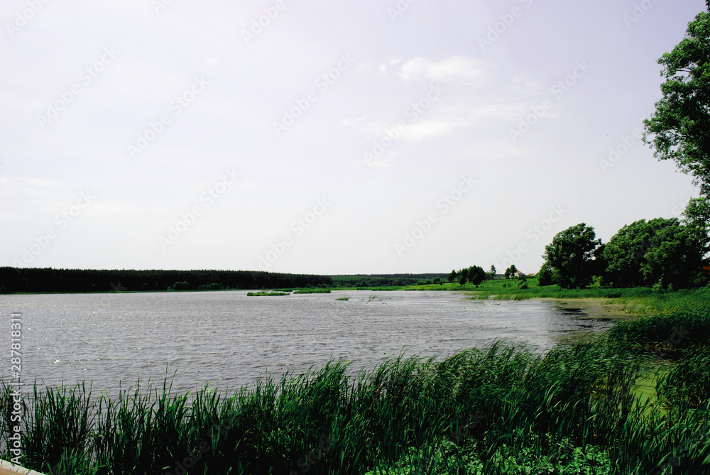 View of the pond, surrounded by greenery View of the pond, surrounded by greenery