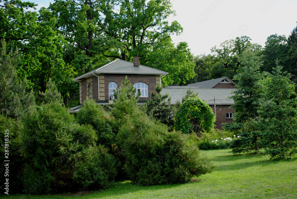 The country house among green trees