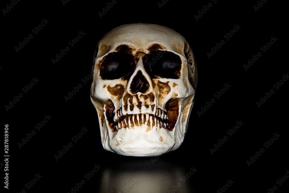 Fototapeta premium plastic skull on black background