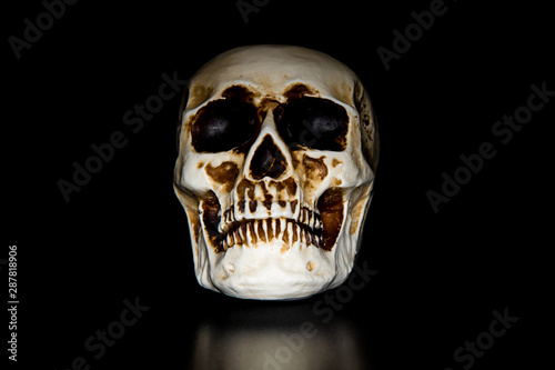 plastic skull on black background
