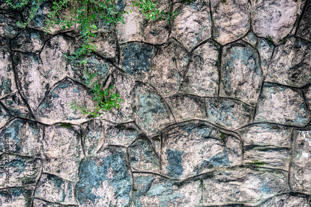 Rock wall with green plants
