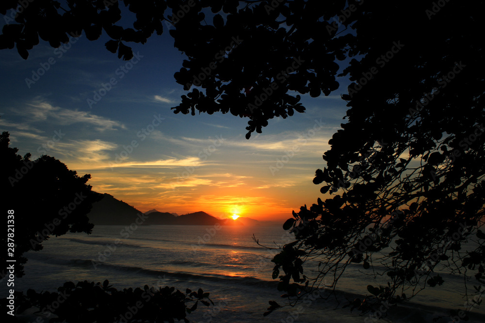 Fototapeta premium Shinning sun behind the trees