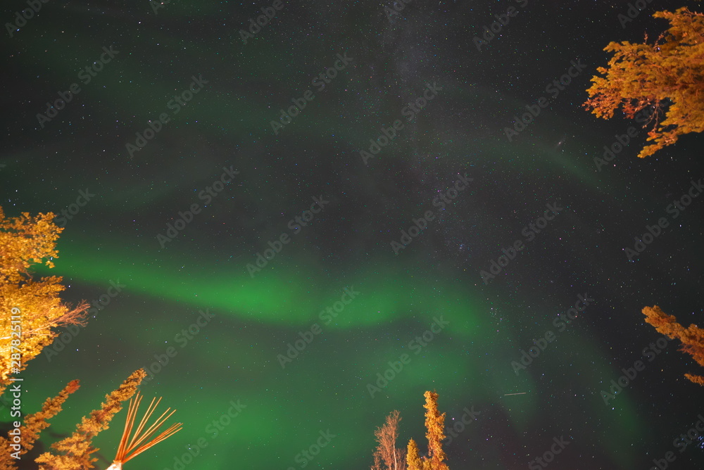 Fototapeta Yellowknife,Canada-August, 2019: Aurora borealis or Northern lights observed in Yellowknife, Canada, on August, 2019