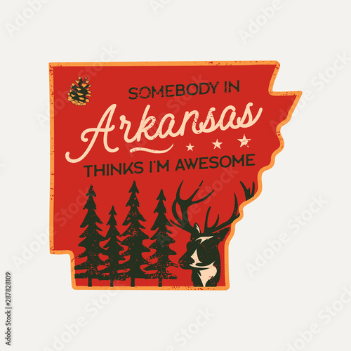 Vintage Arkansas badge. Retro style US state patch, print for t-shirt and other uses. Included quote saying - Somebody in Arkansas things I am Awesome. Stock vector label isolated photo