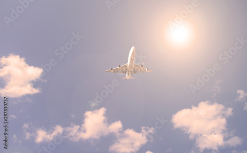 Fototapeta Naklejka Na Ścianę i Meble -  Bottom view of the plane in the sky and the sun is shining.