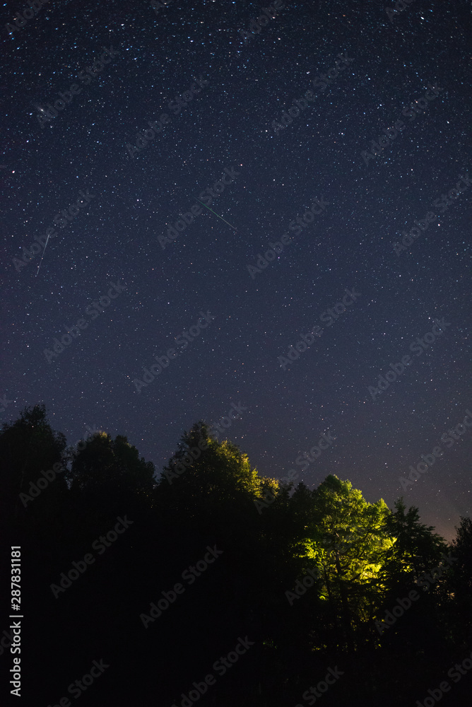 Naklejka premium Starry sky over the forest and flying meteor summer night