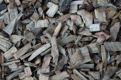Textura maderas