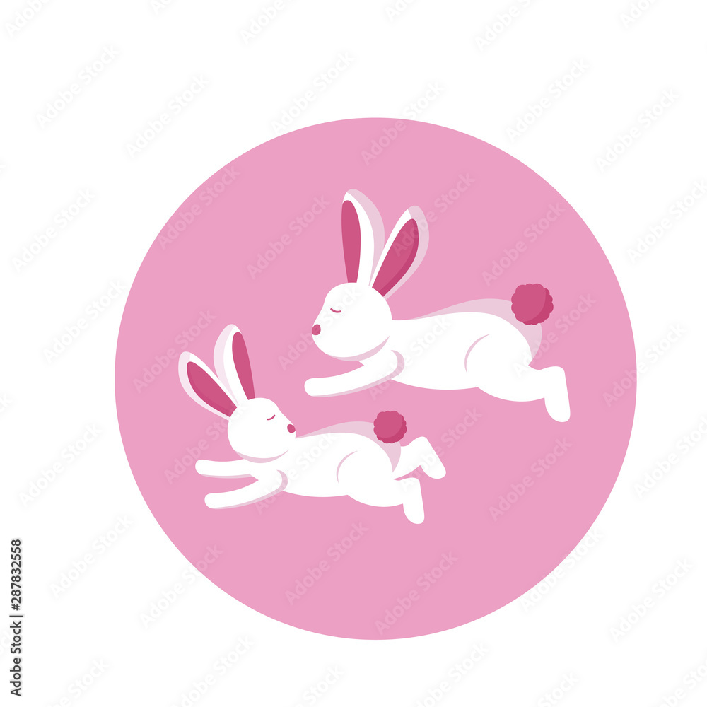 Isolated rabbits cartoon vector design Isolated rabbits cartoon vector design
