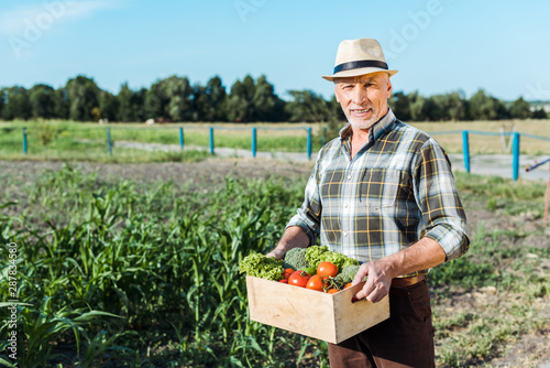 happy farmer holding box with vegetables near corn field