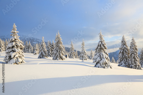 Beautiful landscape on the cold winter day. On the lawn covered with snow, the high mountains with snow white peaks, trees in the snowdrifts.
