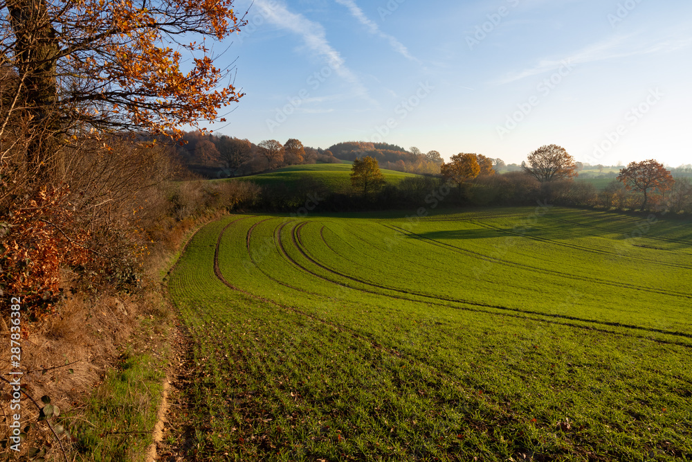 rural cultural landscape with hedgerow and hills in fall