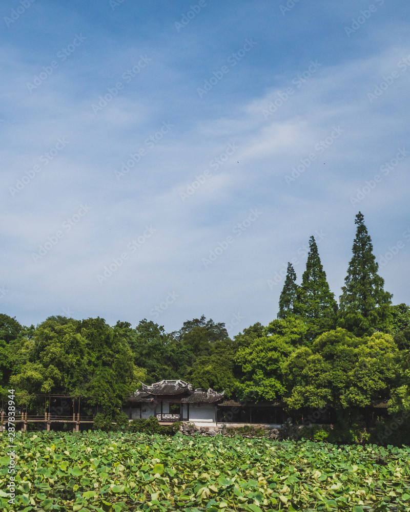 Chinese architecture by pond with lotus leaves in Nanxun, Zhejiang, China Chinese architecture by pond with lotus leaves in Nanxun, Zhejiang, China