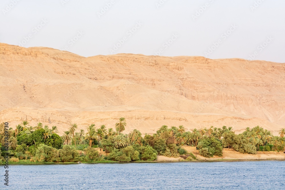 Bank of Nile river seen during touristic cruise, Egypt Bank of Nile river seen during touristic cruise, Egypt