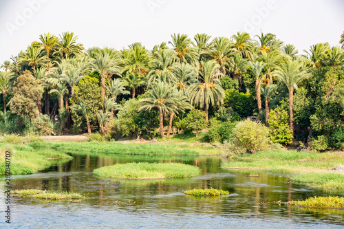 Bank of Nile river seen during touristic cruise  Egypt