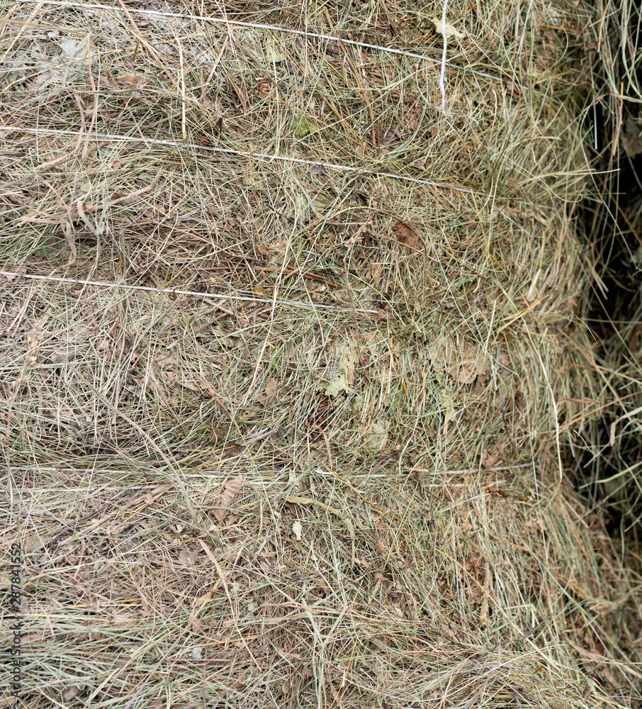 Harvested Bound Hay for Drying Harvested Bound Hay for Drying